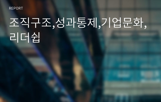 조직구조,성과통제,기업문화,리더쉽