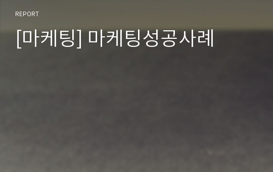 [마케팅] 마케팅성공사례