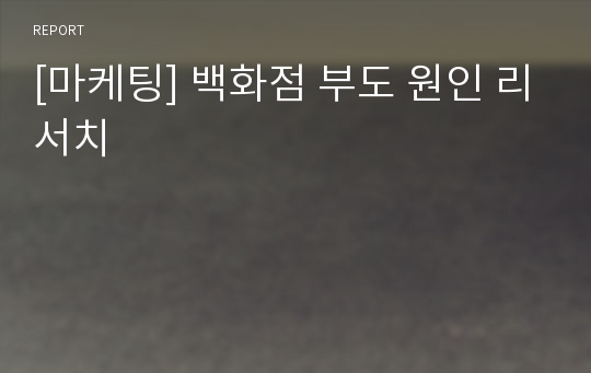 [마케팅] 백화점 부도 원인 리서치