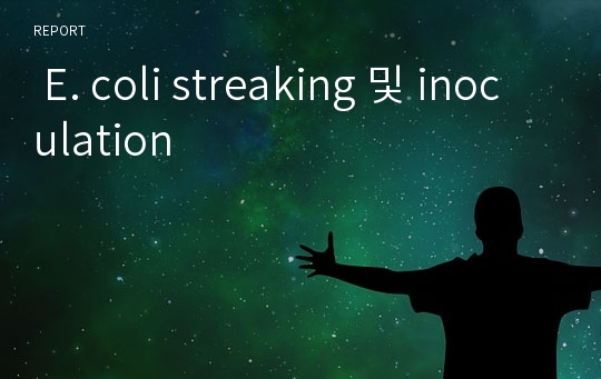  E. coli streaking 및 inoculation