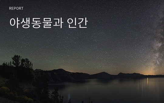 야생동물과 인간