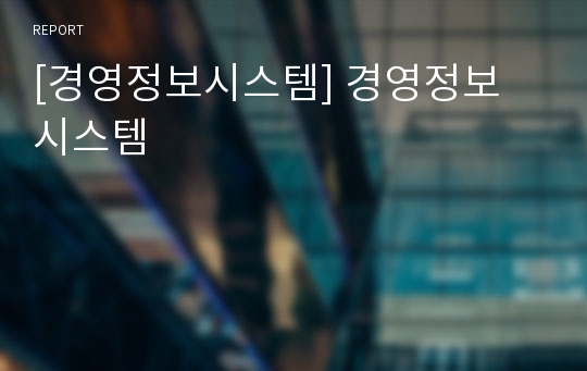 [경영정보시스템] 경영정보 시스템