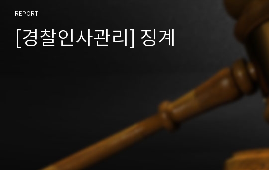 [경찰인사관리] 징계