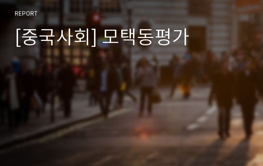 [중국사회] 모택동평가