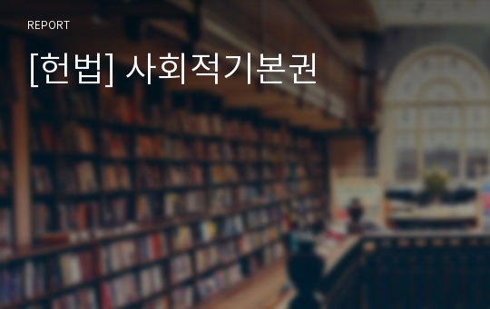 [헌법] 사회적기본권