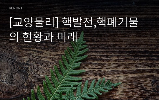 [교양물리] 핵발전,핵폐기물의 현황과 미래