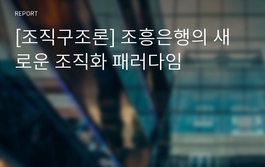 [조직구조론] 조흥은행의 새로운 조직화 패러다임