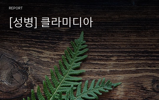 [성병] 클라미디아