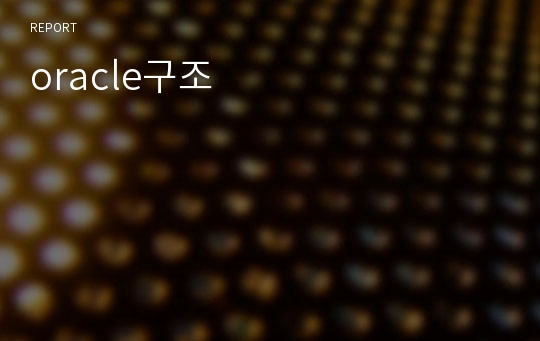 oracle구조