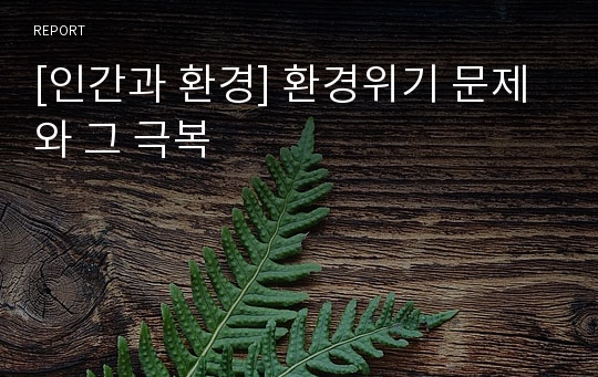 [인간과 환경] 환경위기 문제와 그 극복