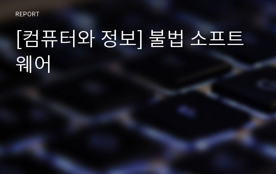 [컴퓨터와 정보] 불법 소프트웨어