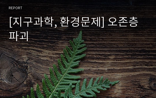 [지구과학, 환경문제] 오존층 파괴