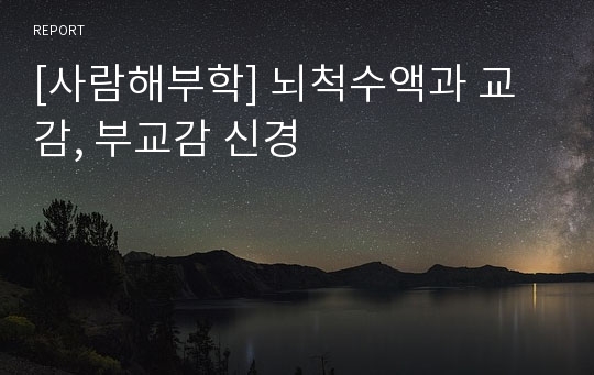 [사람해부학] 뇌척수액과 교감, 부교감 신경