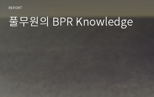 풀무원의 BPR Knowledge