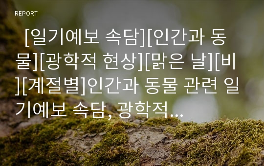   [일기예보 속담][인간과 동물][광학적 현상][맑은 날][비][계절별]인간과 동물 관련 일기예보 속담, 광학적 현상 일기예보 속담, 맑은 날 관련 일기예보 속담, 비 관련 일기예보 속담, 계절별 일기예보 속담 분석