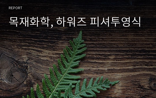 목재화학, 하워즈 피셔투영식