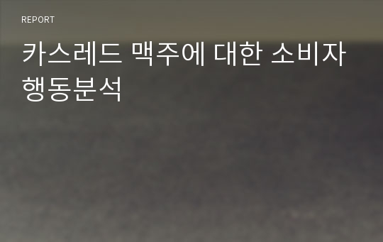 카스레드 맥주에 대한 소비자행동분석