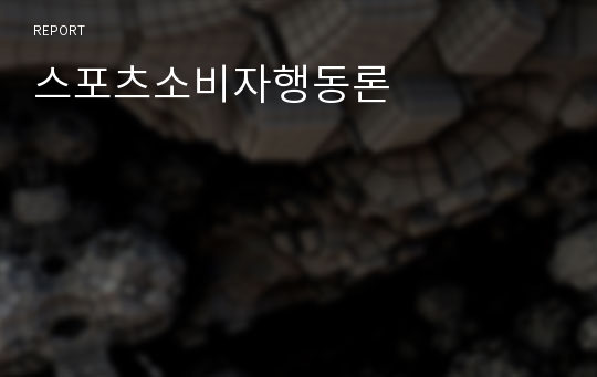 스포츠소비자행동론