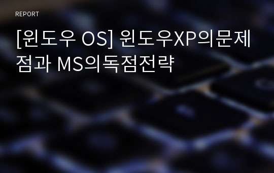 [윈도우 OS] 윈도우XP의문제점과 MS의독점전략