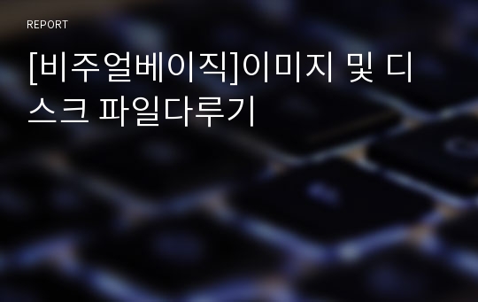 [비주얼베이직]이미지 및 디스크 파일다루기