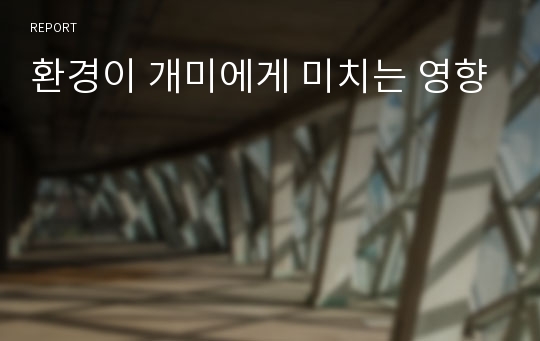 환경이 개미에게 미치는 영향