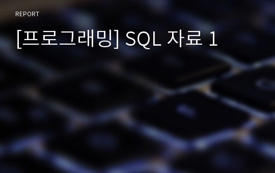 [프로그래밍] SQL 자료 1
