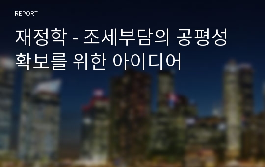 재정학 - 조세부담의 공평성 확보를 위한 아이디어