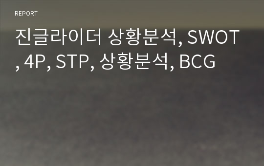 진글라이더 상황분석, SWOT, 4P, STP, 상황분석, BCG