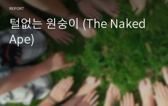 털없는 원숭이 (The Naked Ape)