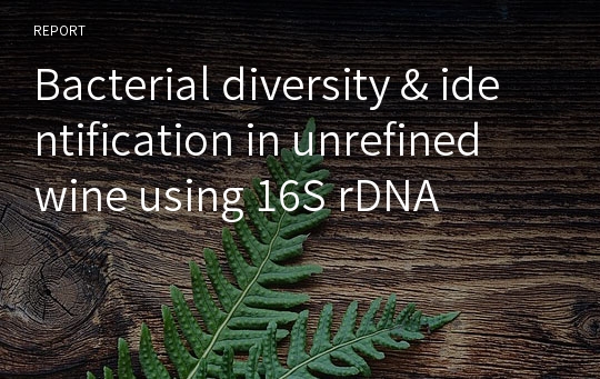 Bacterial diversity &amp; identification in unrefined wine using 16S rDNA