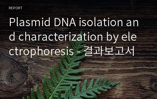 Plasmid DNA isolation and characterization by electrophoresis - 결과보고서