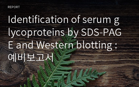 Identification of serum glycoproteins by SDS-PAGE and Western blotting : 예비보고서