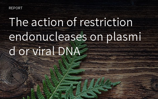 The action of restriction endonucleases on plasmid or viral DNA