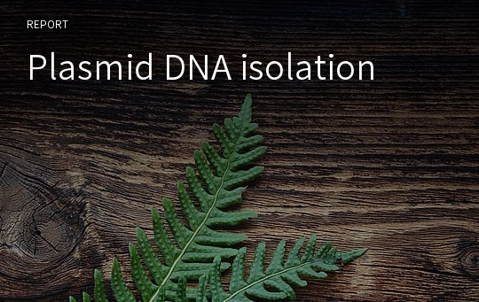 Plasmid DNA isolation