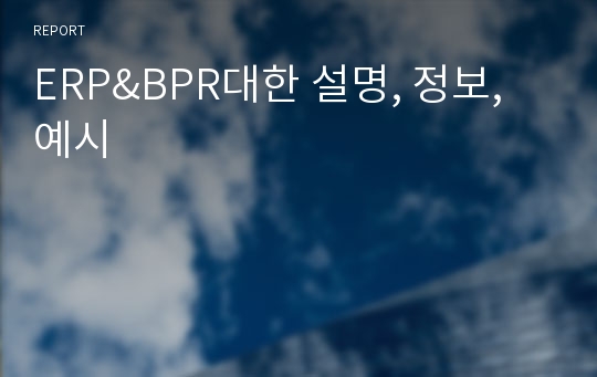 ERP&amp;BPR대한 설명, 정보, 예시