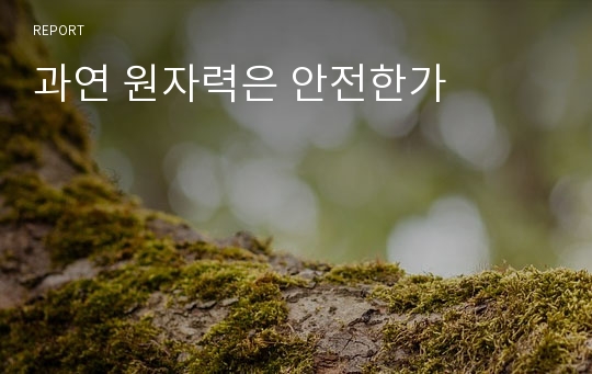 과연 원자력은 안전한가