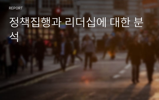 정책집행과 리더십에 대한 분석