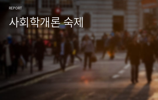 사회학개론 숙제