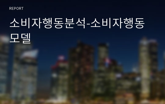 소비자행동분석-소비자행동모델