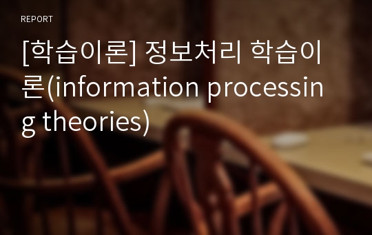 [학습이론] 정보처리 학습이론(information processing theories)
