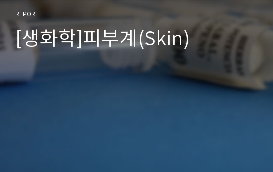 [생화학]피부계(Skin)