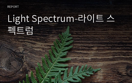 Light Spectrum-라이트 스펙트럼