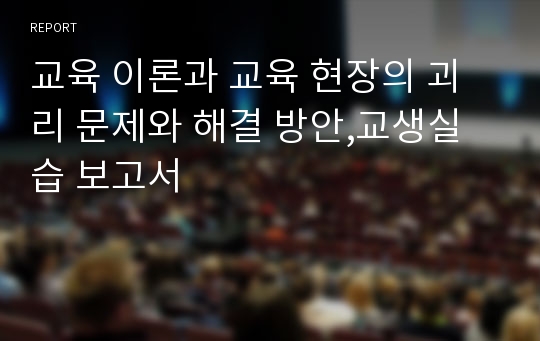 교육 이론과 교육 현장의 괴리 문제와 해결 방안,교생실습 보고서