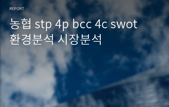 농협 stp 4p bcc 4c swot 환경분석 시장분석