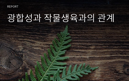 광합성과 작물생육과의 관계