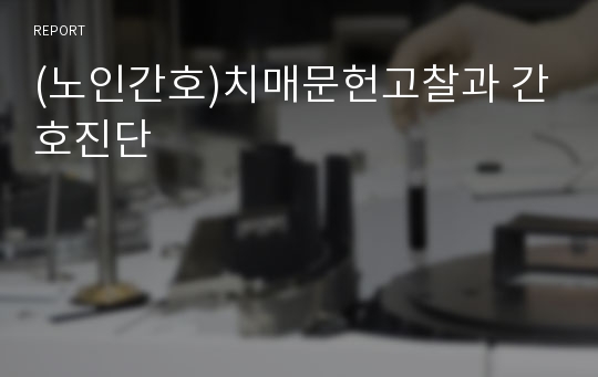 (노인간호)치매문헌고찰과 간호진단