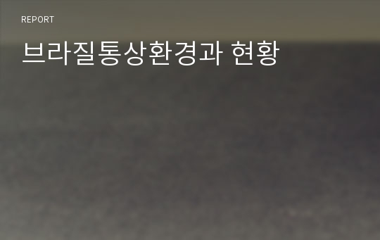 브라질통상환경과 현황