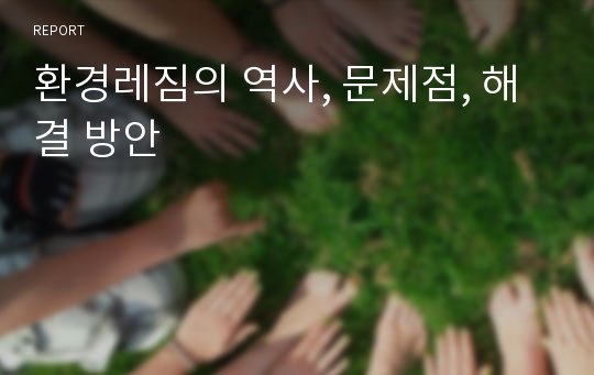 환경레짐의 역사, 문제점, 해결 방안