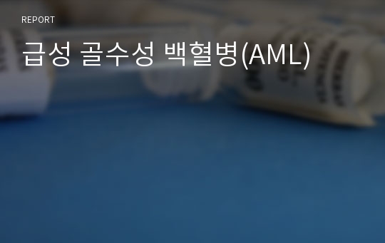 급성 골수성 백혈병(AML)