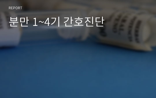 분만 1~4기 간호진단